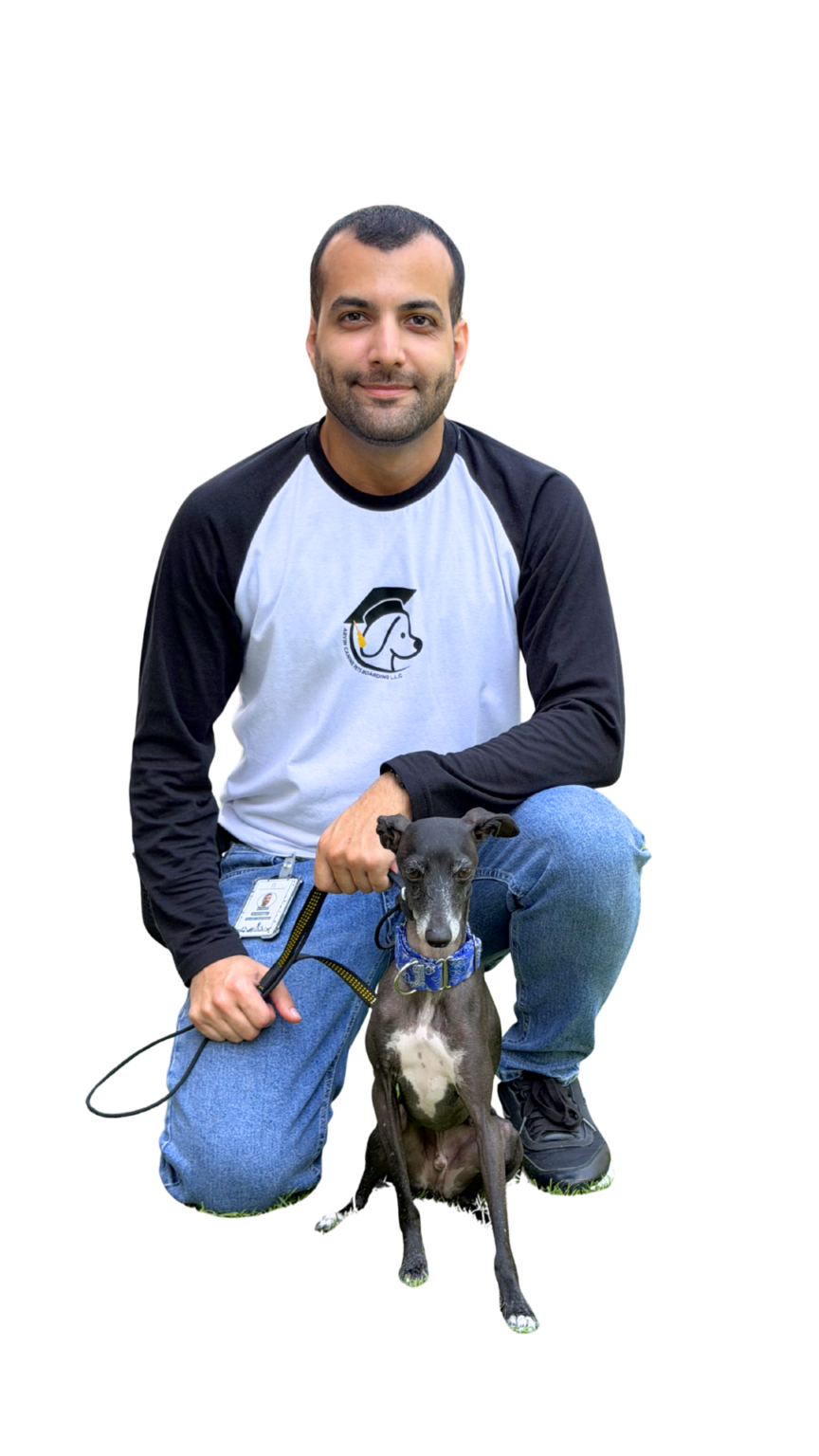 arvin dog trainer arvin k9 team dubai dog behaviorist