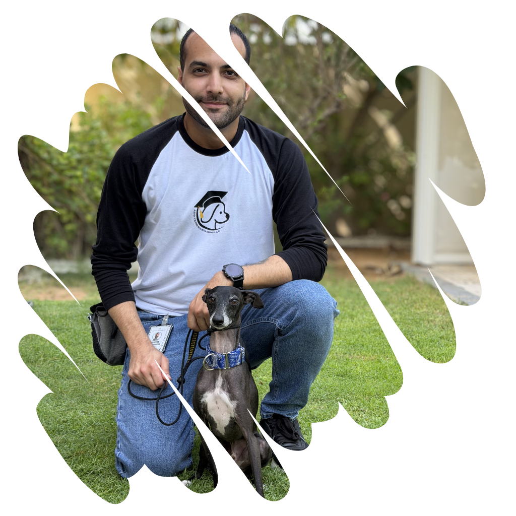 arvin dog trainer arvin k9 team dubai